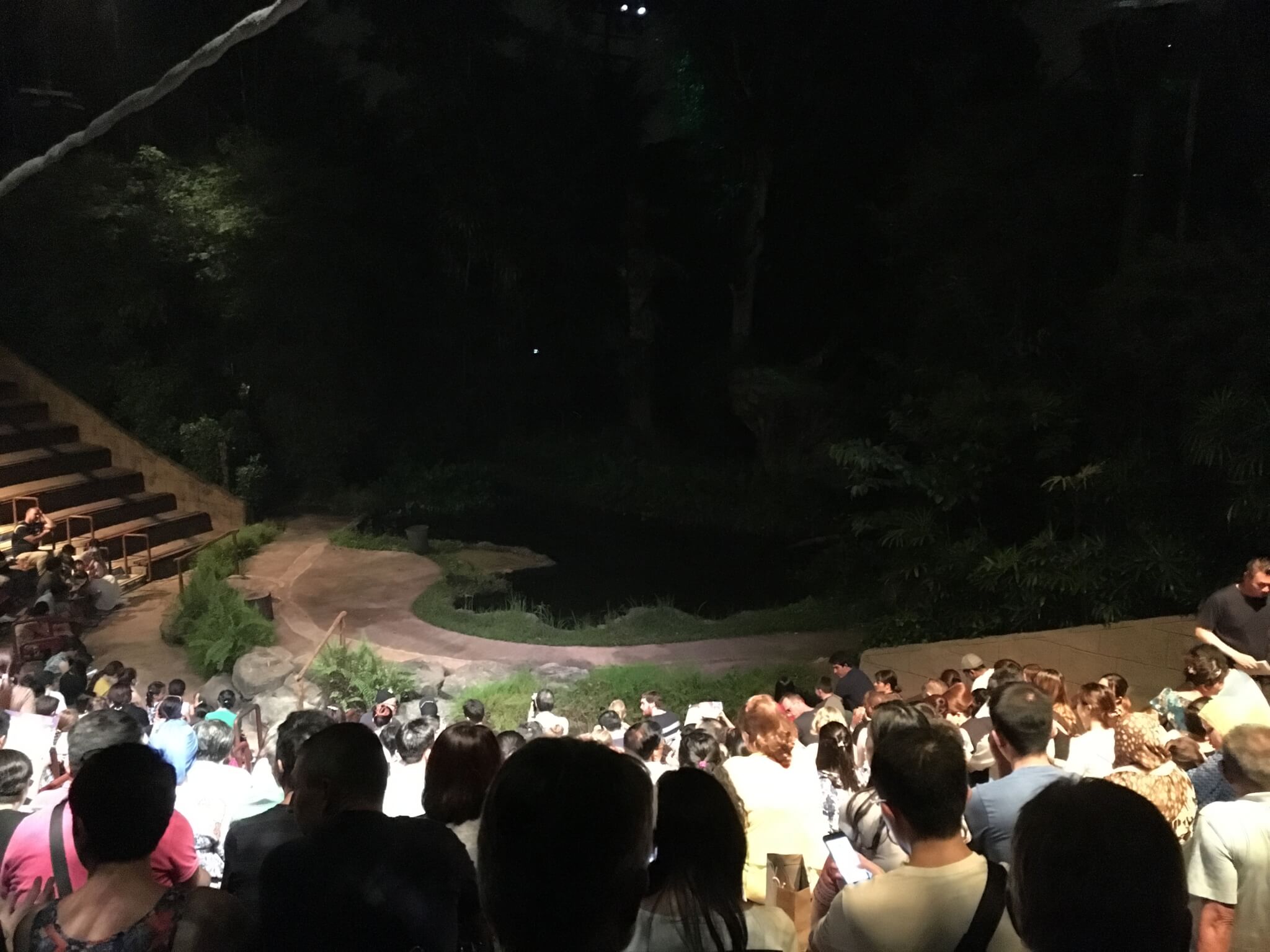 Creatures of the Night show at Singapore Zoo