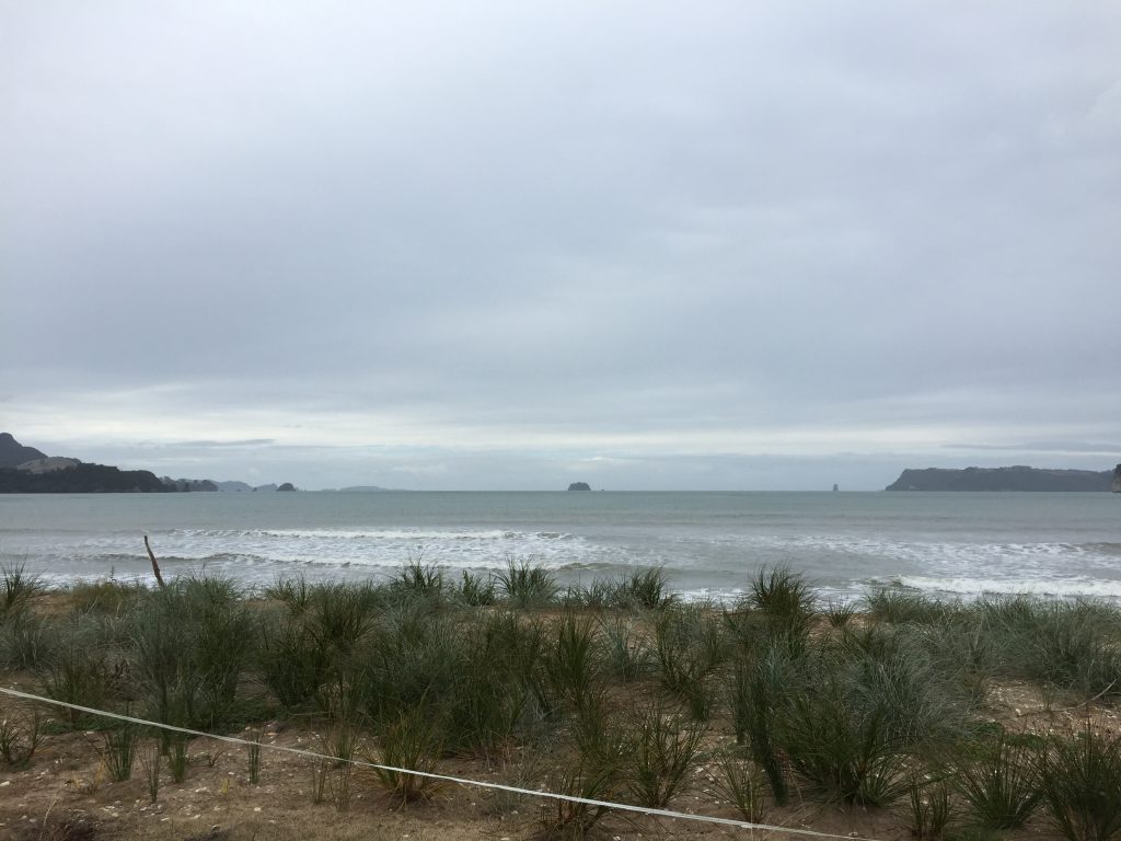 Waihi Beach