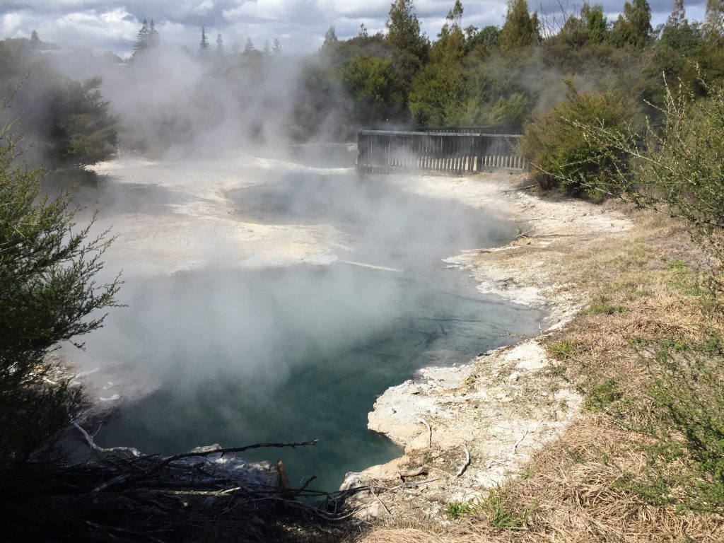 Rotorua Hot Springs in Kuirau Park