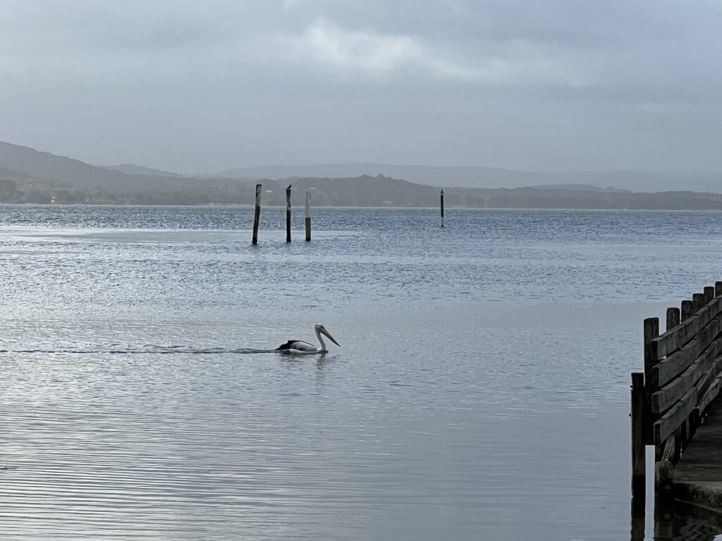 Long Jetty - Tuggerah Lake